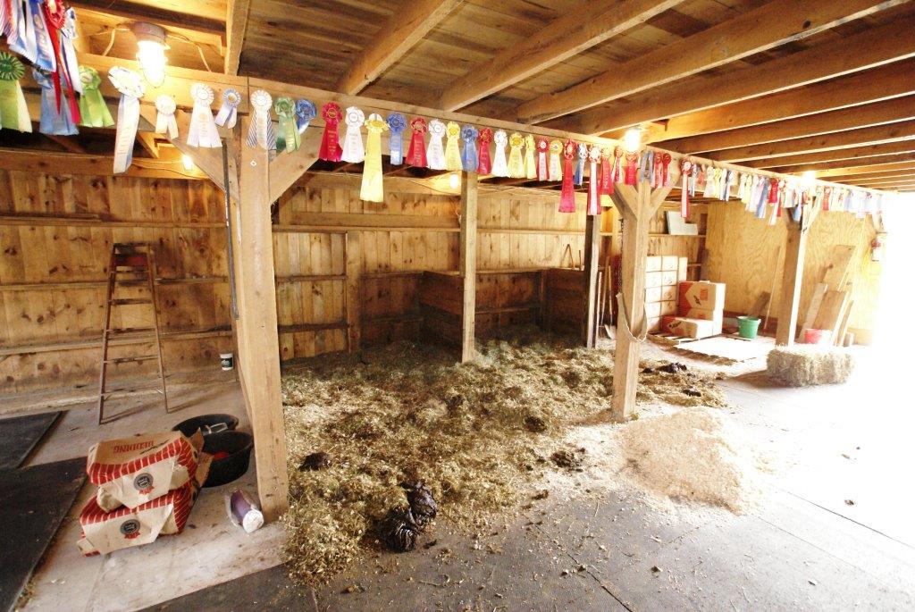 Inside Your Barn